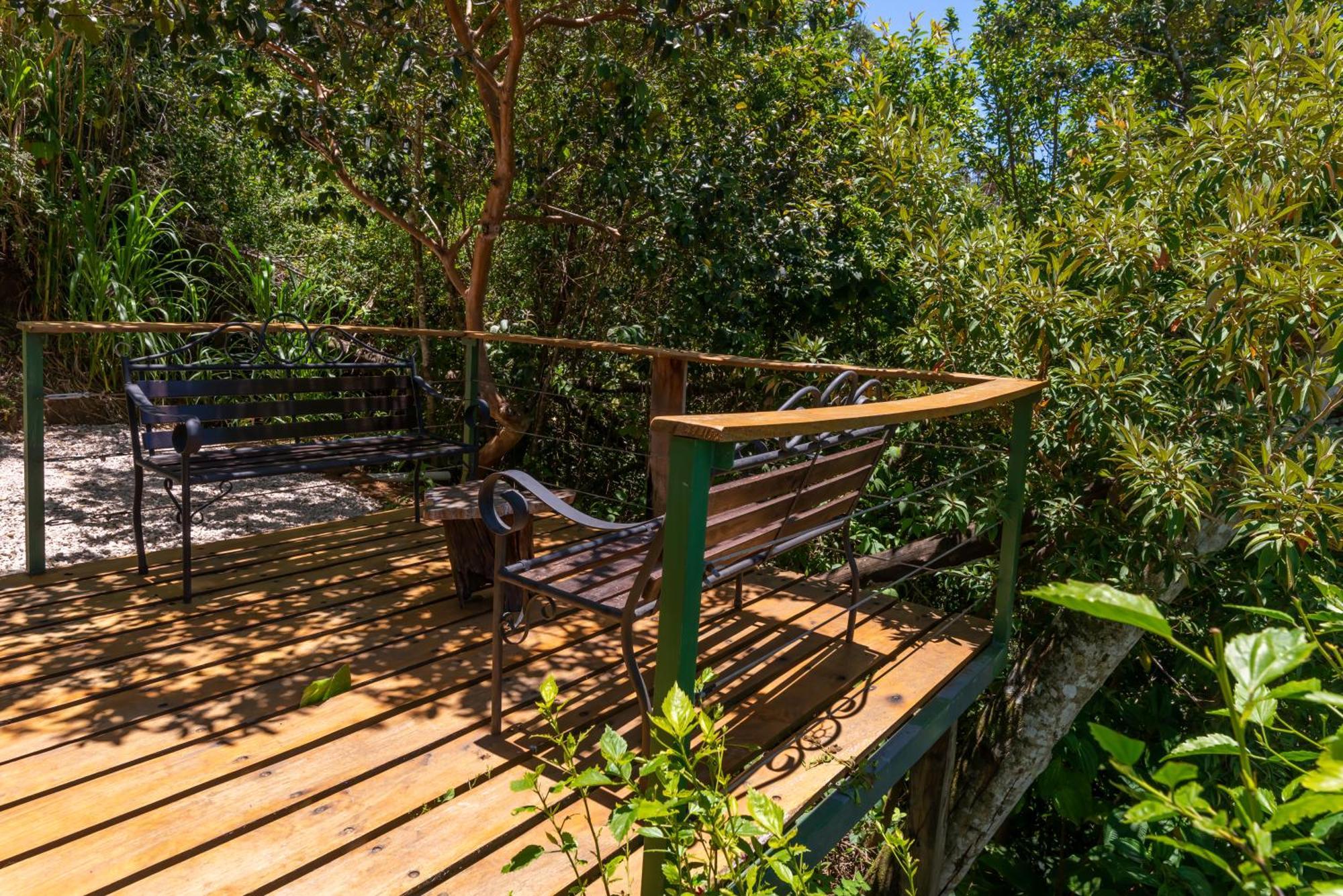 Cabinas Capulin & Farm Monteverde Exteriér fotografie